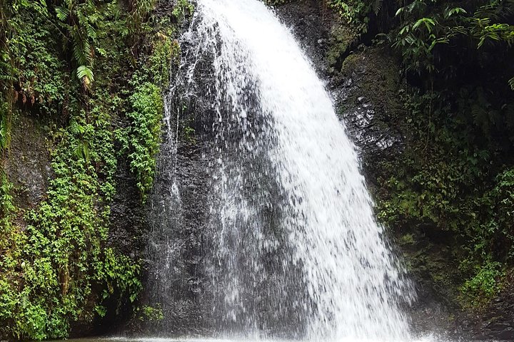 North Tour: rainforest, rum distillery, black sand beach etc