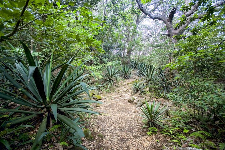 Volcano Hike, Waterfall Swim & Hot Springs Combo on Rincon de la Vieja