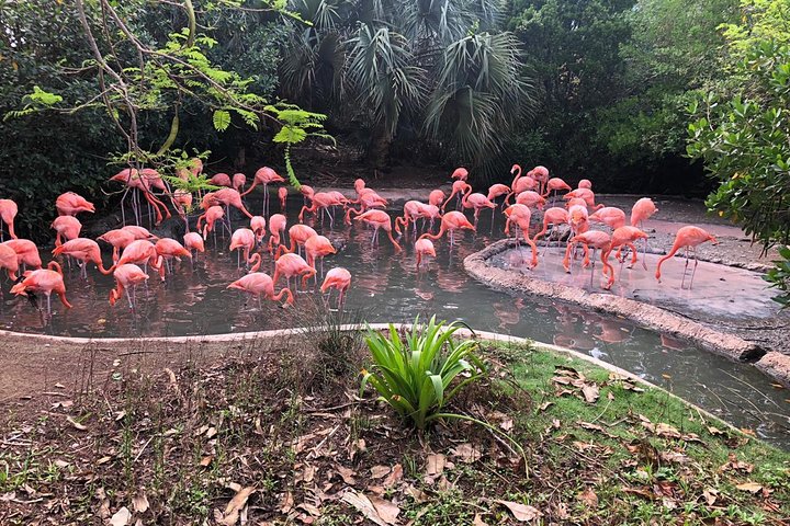 Bermuda Aquarium and Crystal Caves Admission
