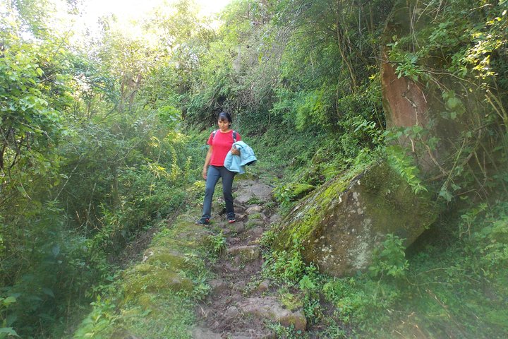 From Quebrada de Humahuaca to Yungas Jungle by the Qhapac Ñan