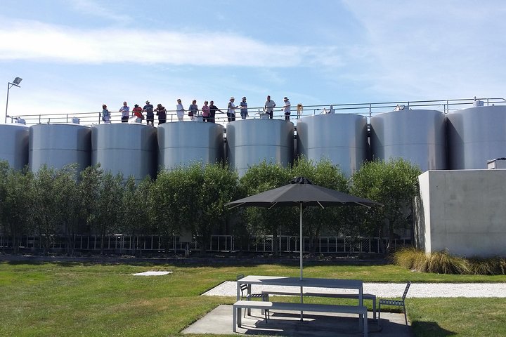 Gourmet Gold Wine Tour: Indulge in Cloudy Bay's finest wines