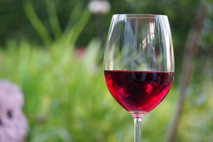 Private Wine Tour Amador County Wine Tasting Tours