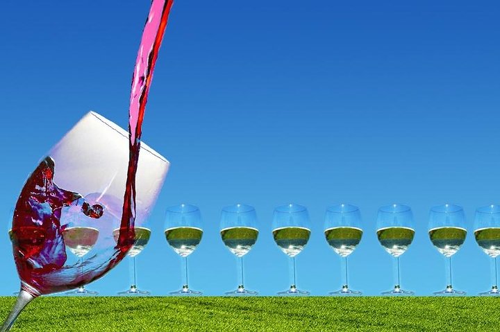 Private Wine Tour Amador County Wine Tasting Tours