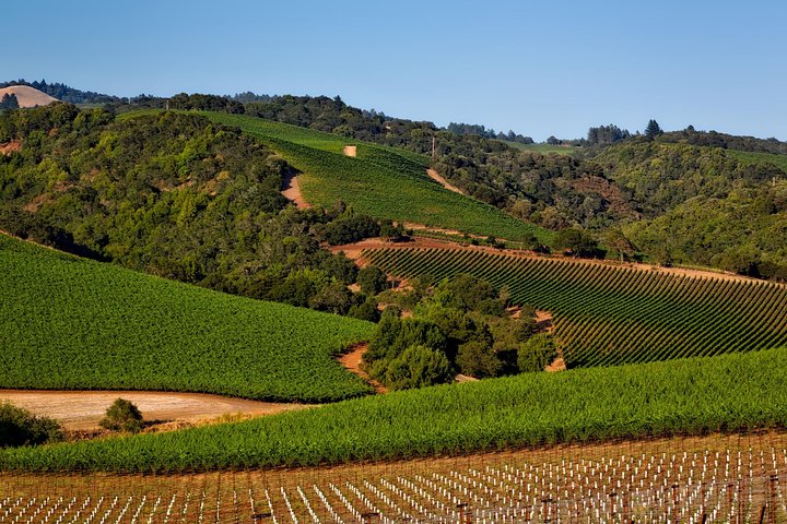 Private Wine Tour Amador County Wine Tasting Tours