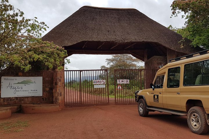 One-day Akagera National Park Game Drive with a Choice 4x4
