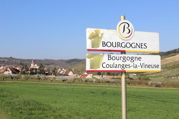 Chablis & Northern Burgundy Wine Tour