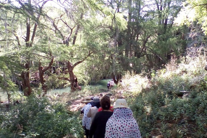 Tour Visiting the Malpais