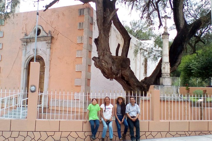 Tour Visiting the Malpais