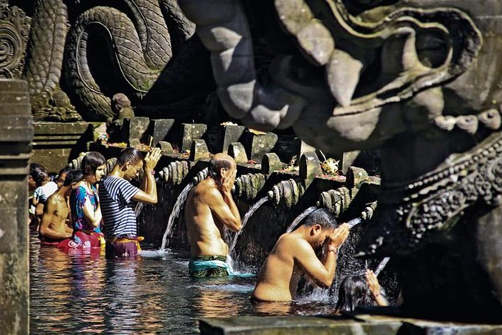 Ubud: Monkey Forest, Jungle Swing, Rice Terrace and Water Temple