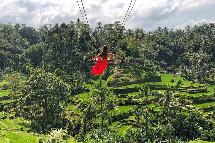 Ubud: Monkey Forest, Jungle Swing, Rice Terrace and Water Temple