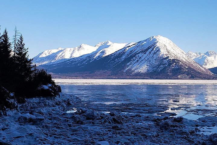 PRISTINE - Wilderness, Wildlife, Glacier Experience in Anchorage