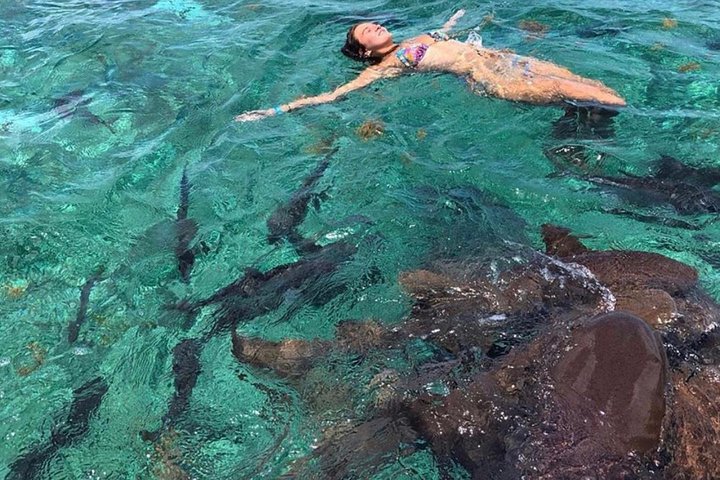 Hol Chan Full-Day Bucket List Snorkeling and Marine Life Tour