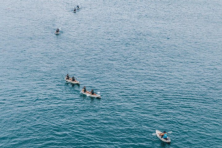 Original La Jolla Sea Cave Kayak Tour for Two