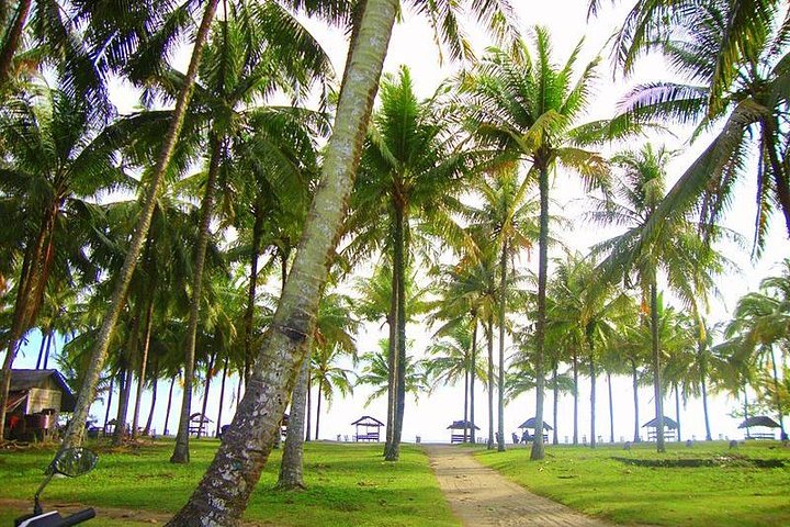 Koh Samui Sightseeing Tour Around The Island