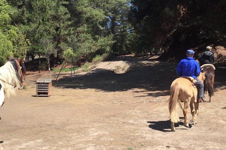 Horseback Riding & BBQ Ritoque Beach & Sand Dunes From VALPARAISO