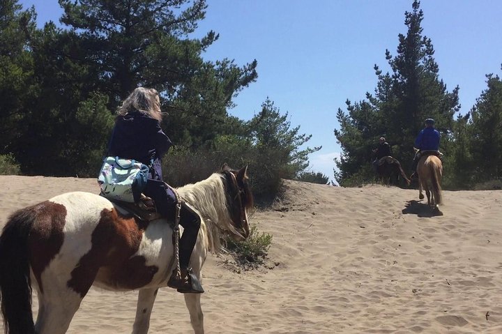 Horseback Riding & BBQ Ritoque Beach & Sand Dunes From VALPARAISO