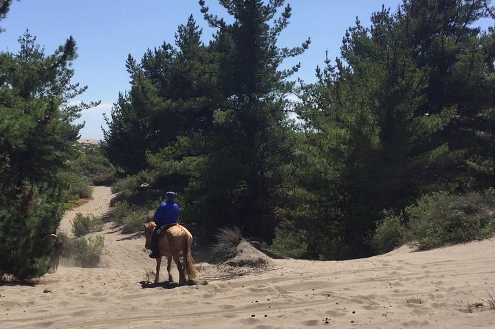 Horseback Riding & BBQ Ritoque Beach & Sand Dunes From VALPARAISO