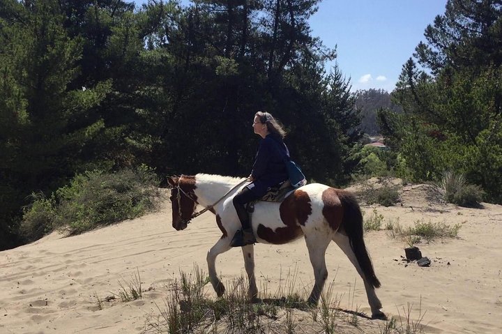 Horseback Riding & BBQ Ritoque Beach & Sand Dunes From VALPARAISO