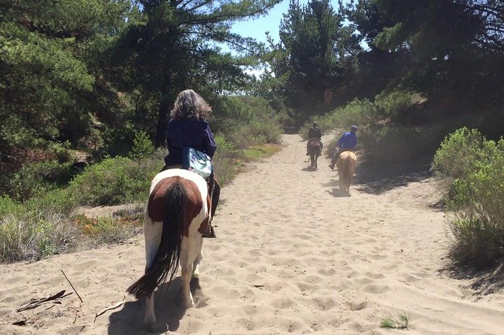 Horseback Riding & BBQ Ritoque Beach & Sand Dunes From VALPARAISO