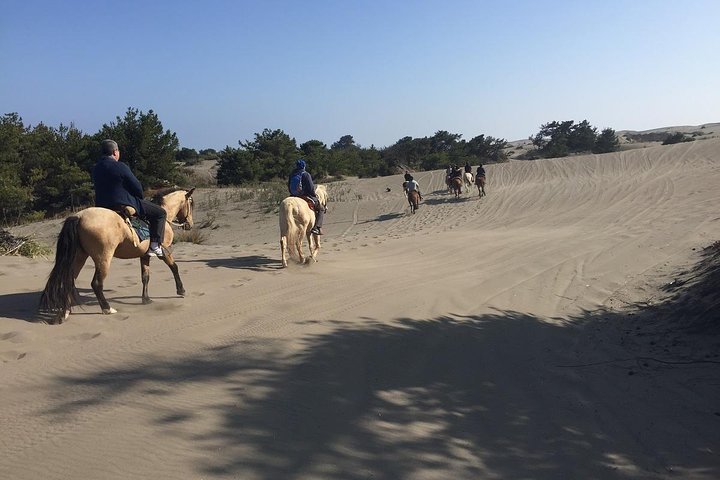 Horseback Riding & BBQ Ritoque Beach & Sand Dunes From VALPARAISO