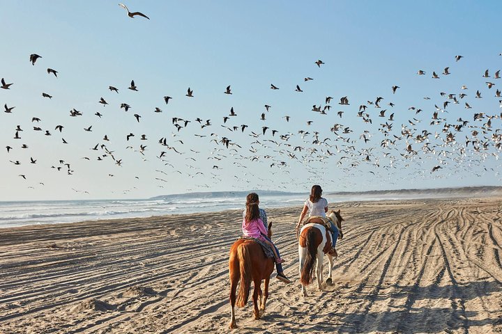 Horseback Riding & BBQ Ritoque Beach & Sand Dunes From VALPARAISO