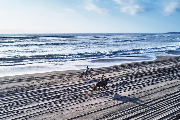 Horseback Riding & BBQ Ritoque Beach & Sand Dunes From VALPARAISO