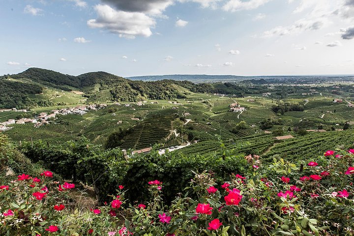 Full day Private Prosecco Tour, with certified Sommelier