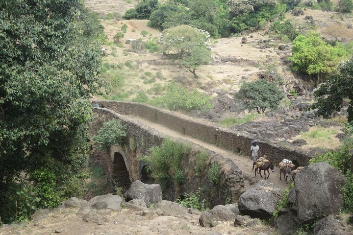 Bahir Dar Tours
