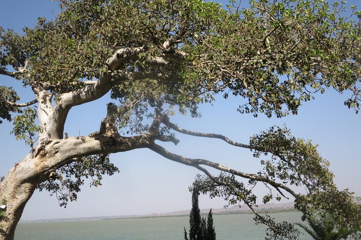 Bahir Dar Tours