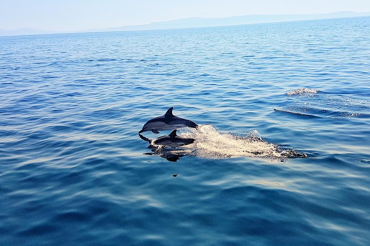 All-Inclusive Full-Day Cruise & Lunch