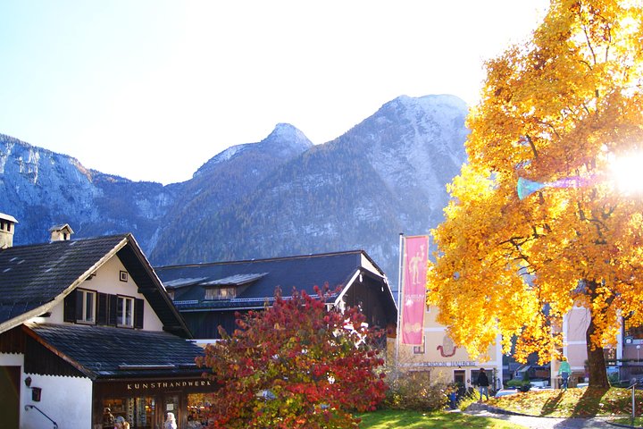 Hallstatt Guided Day Trip from Vienna With Boat Ride Option