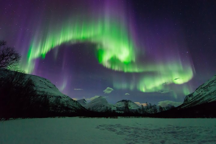 Tromso Aurora Hunt with Bonfire, Meal, Winter Suit & Photos