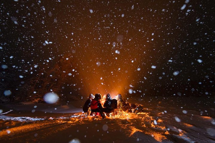 Tromso Aurora Hunt with Bonfire, Meal, Winter Suit & Photos