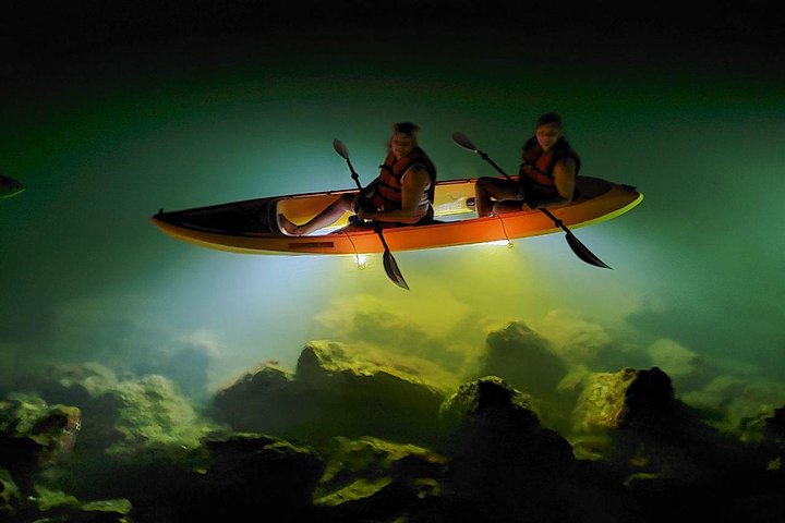 Sharkeys Glass Bottom Fish Feeding LED Night Tour St. Pete Beach