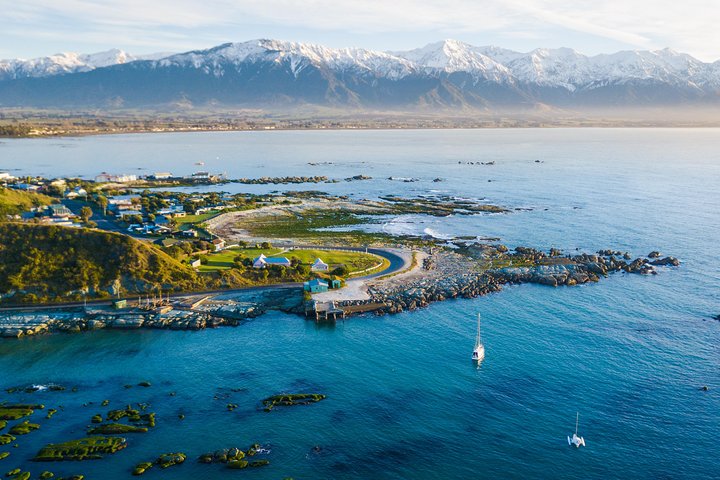Whale Watching in Kaikoura by Boat