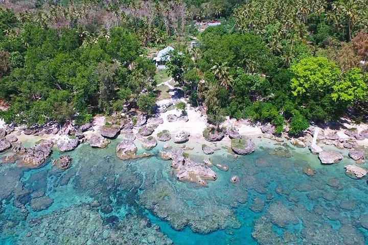 Turtle Encounter with Yumi Tours