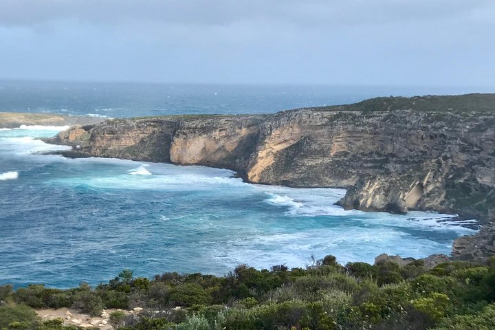 Kangaroo Island Small‑Group Scenic & Wildlife Day Tour