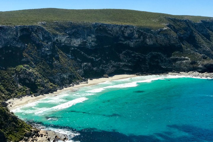 Kangaroo Island Small‑Group Scenic & Wildlife Day Tour