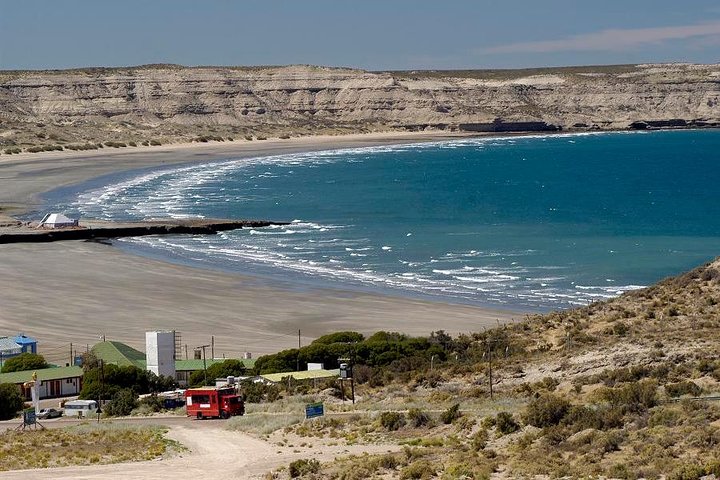 Full Day Peninsula Valdes Experience - optional Whale Watching