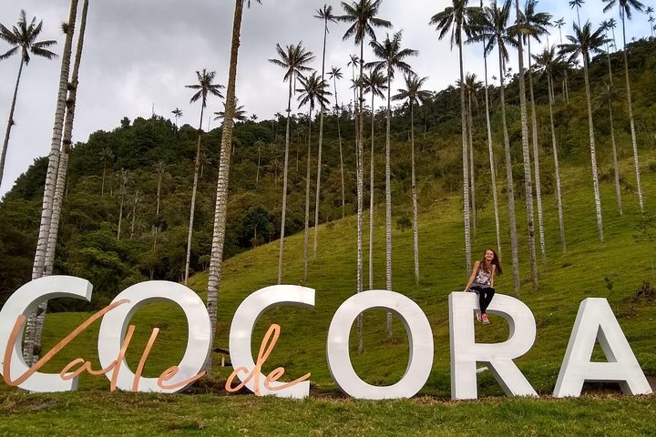 Full-Day Private Coffee Tour in Cocora Valley and Salento