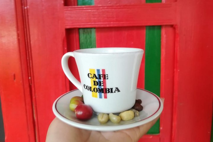 Full-Day Private Coffee Tour in Cocora Valley and Salento