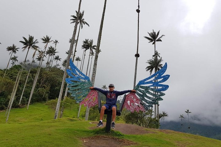 Full-Day Private Coffee Tour in Cocora Valley and Salento