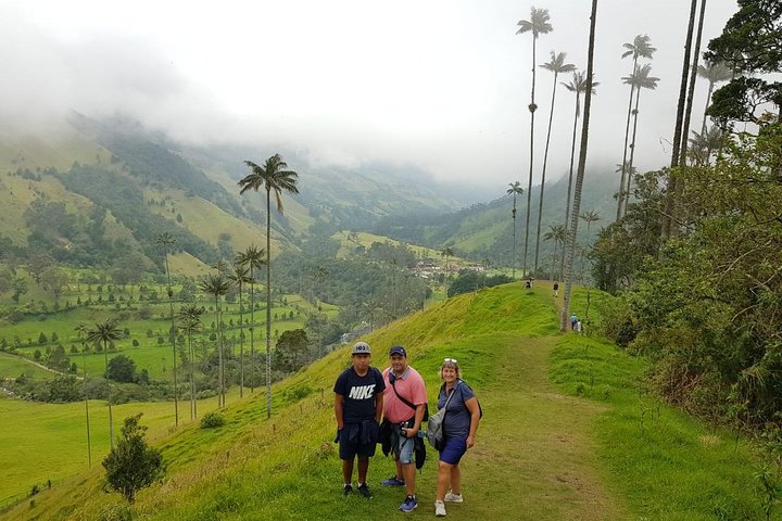 Full-Day Private Coffee Tour in Cocora Valley and Salento
