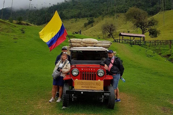 Full-Day Private Coffee Tour in Cocora Valley and Salento