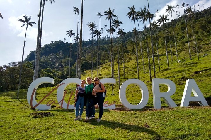 Full-Day Private Coffee Tour in Cocora Valley and Salento