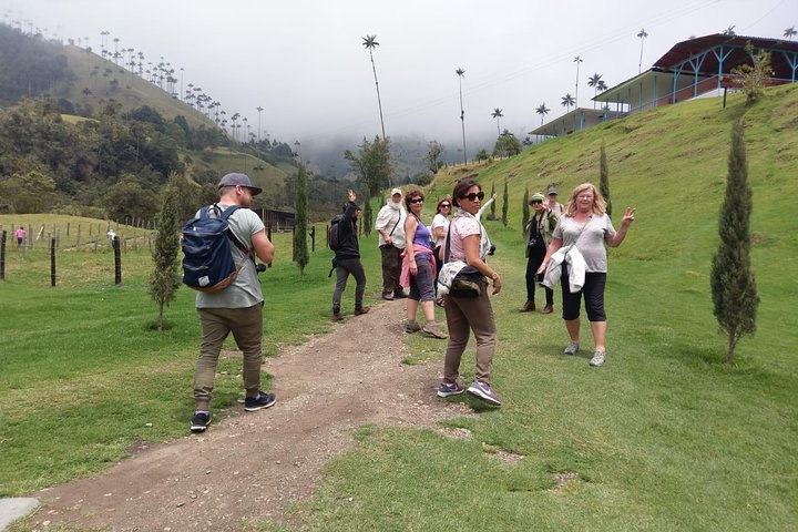 Full-Day Private Coffee Tour in Cocora Valley and Salento