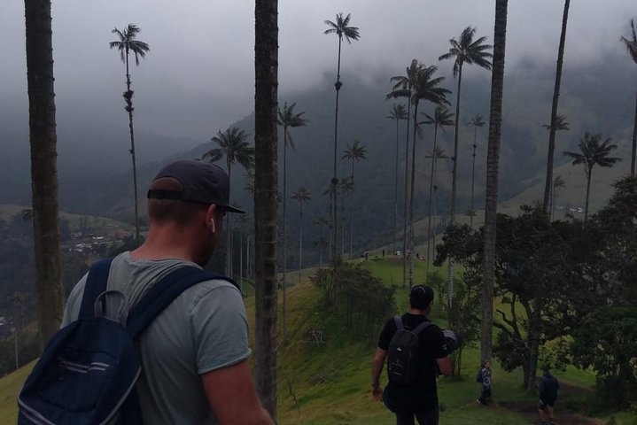 Full-Day Private Coffee Tour in Cocora Valley and Salento