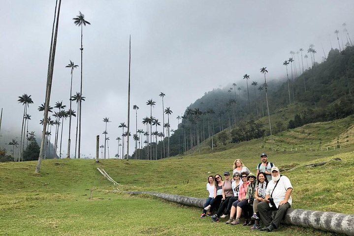 Full-Day Private Coffee Tour in Cocora Valley and Salento