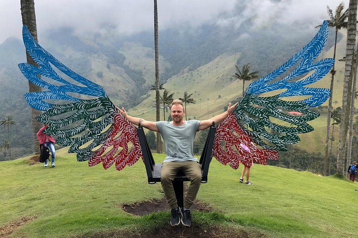 Full-Day Private Coffee Tour in Cocora Valley and Salento