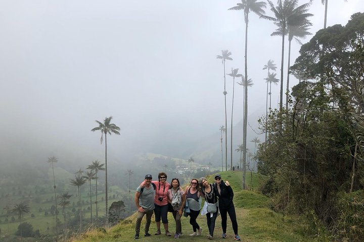 Full-Day Private Coffee Tour in Cocora Valley and Salento